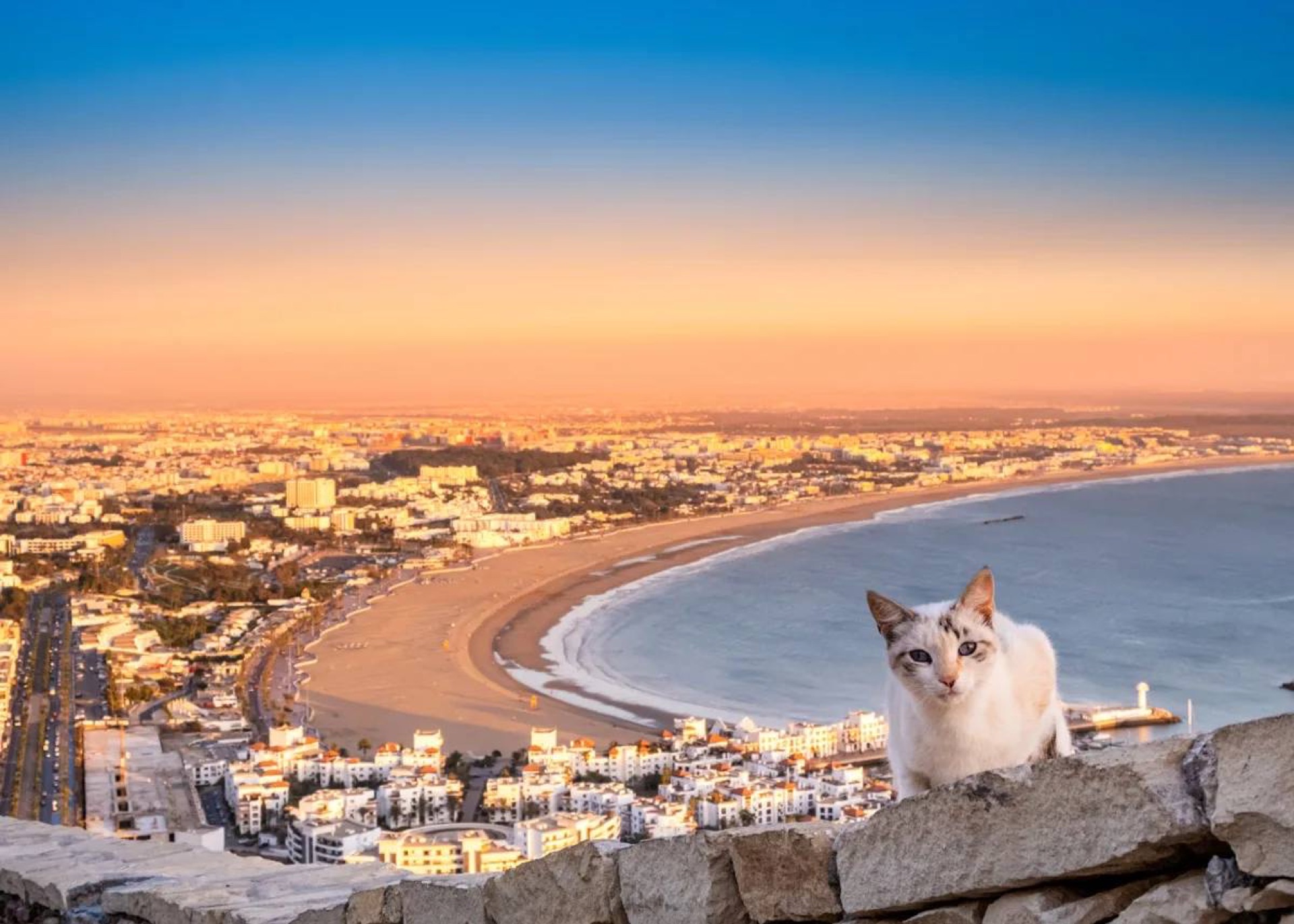 Visit Agadir in Taghazout