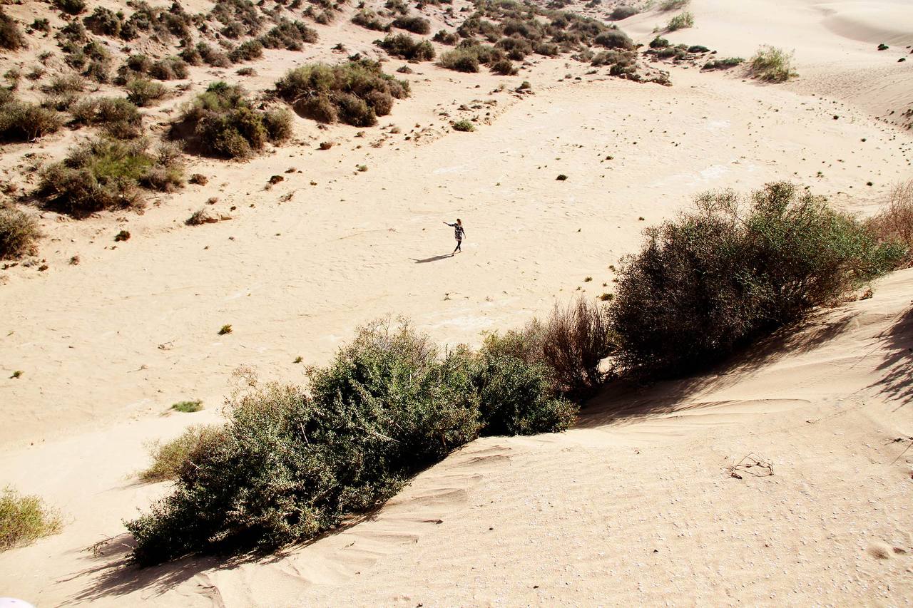 Sandboard photo de galerie 1