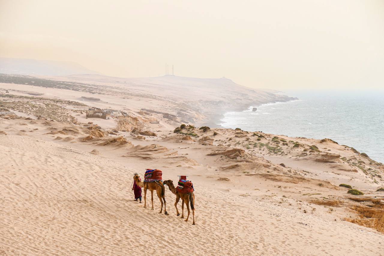 Sandboard photo de galerie 6