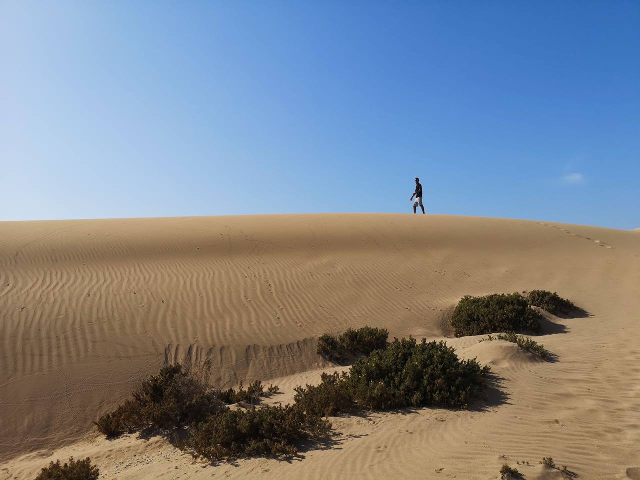 Sandboard photo de galerie 7